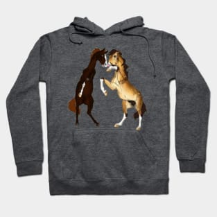 Stallions Fighting Hoodie